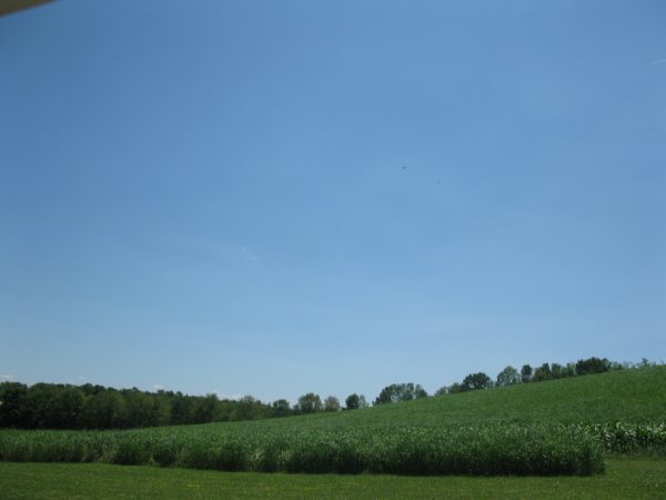 PAState2010 22526.jpg